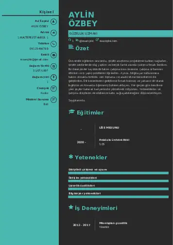 Güzellik Uzmanı Cv Örnekleri  cv indir